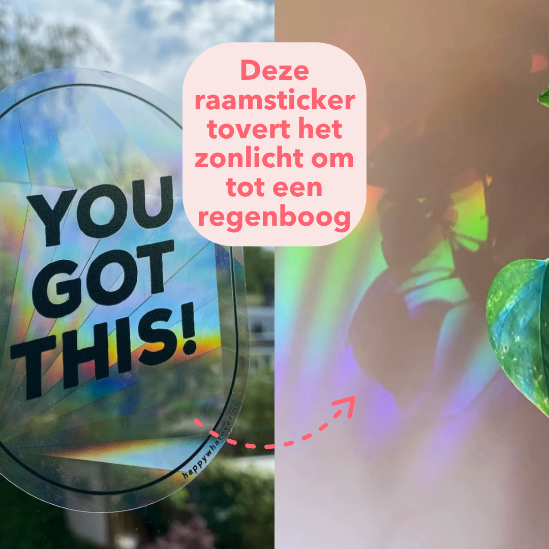 Regenboogmaker raamsticker You Got This! A6