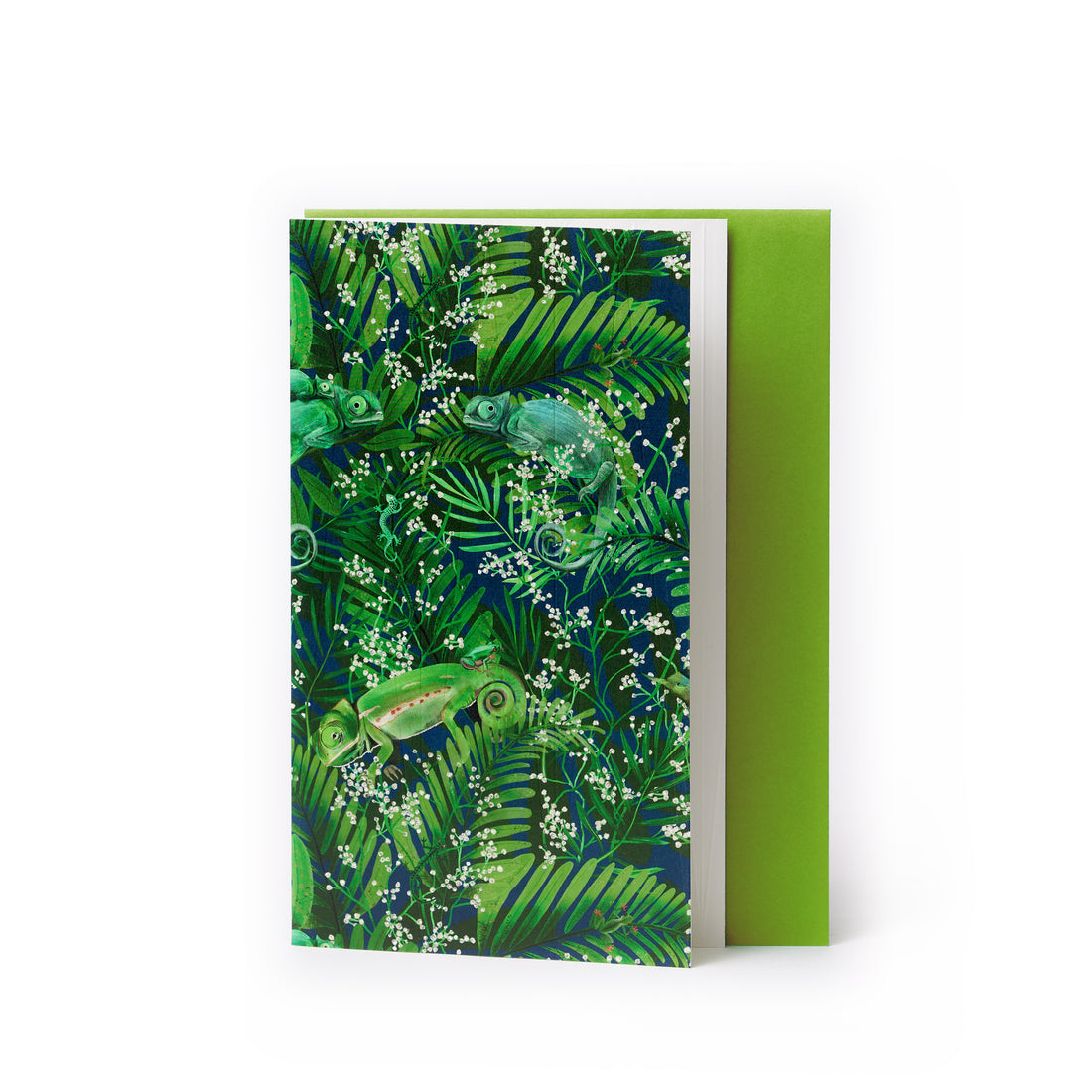 Chameleon – Special Collection by Fishuals