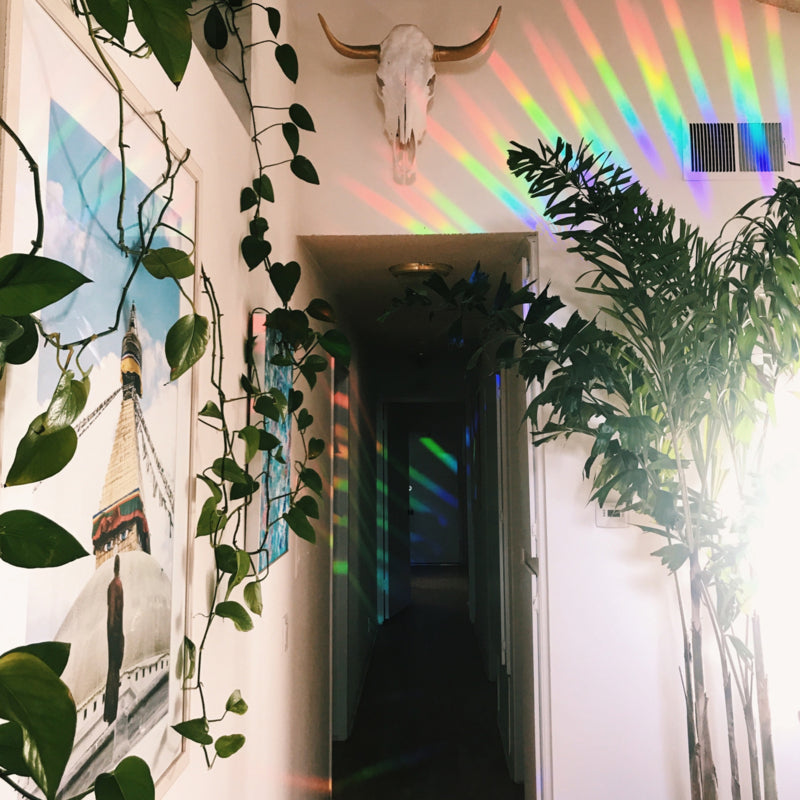 Regenboogmaker raamsticker Tukan A5