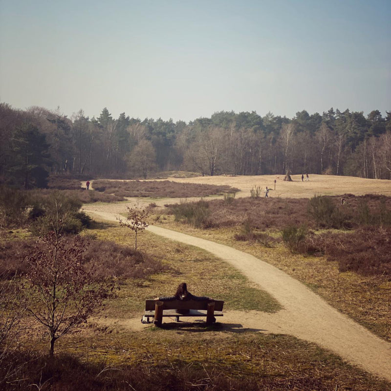 Wandel date