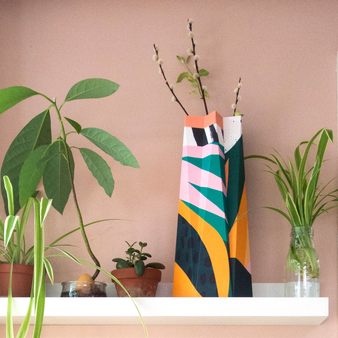 Papaya - By Tom Abbiss Smith