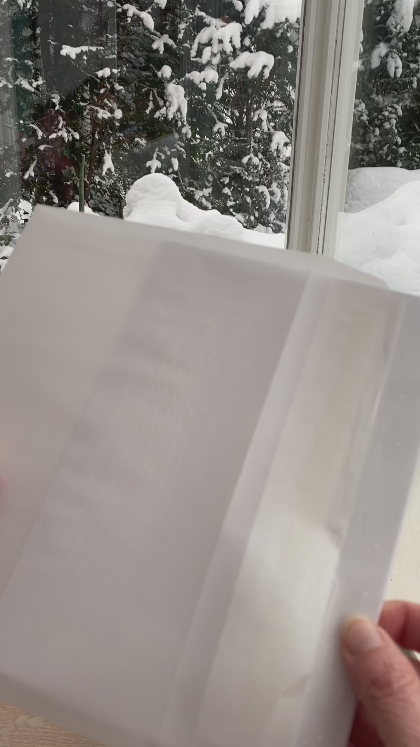 Winter Deer, Card + Window Sticker