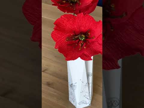 Ocean – Special Collection by Studio Lisa