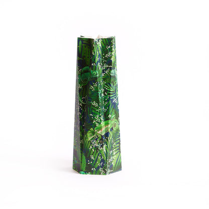 Chameleon – Special Collection by Fishuals